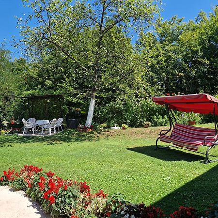 Vila Kuca Za Odmor Dm Bajina Basta Exteriér fotografie