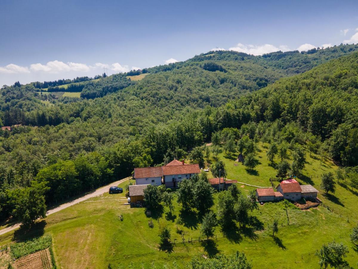 Vila Kuca Za Odmor Dm Bajina Basta Exteriér fotografie