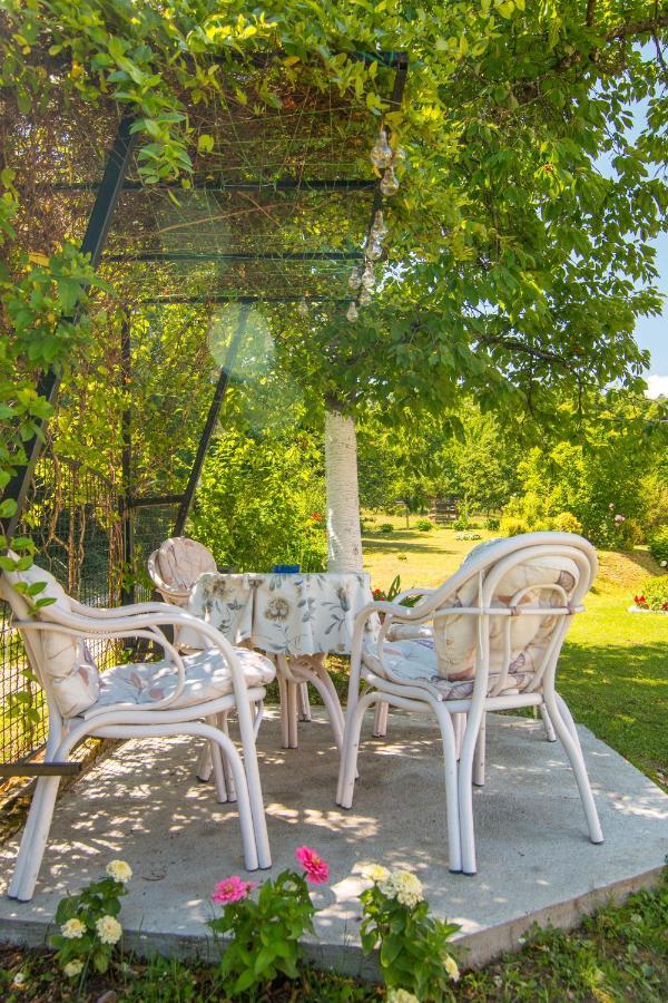 Vila Kuca Za Odmor Dm Bajina Basta Exteriér fotografie